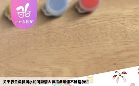 关于养金鱼和风水的问题请大师指点跪谢不诚请勿进