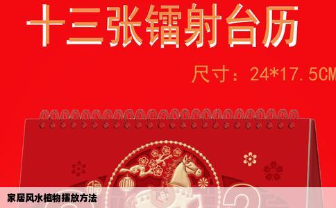 家居风水植物摆放方法