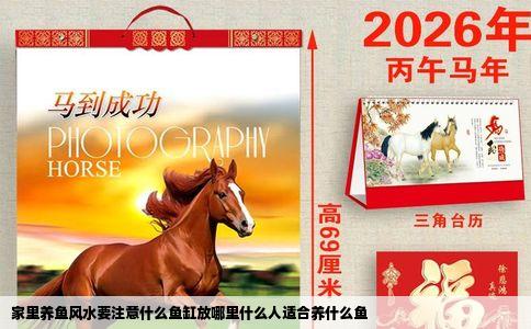 家里养鱼风水要注意什么鱼缸放哪里什么人适合养什么鱼