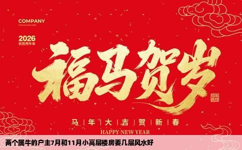 两个属牛的户主7月和11月小高层楼房要几层风水好