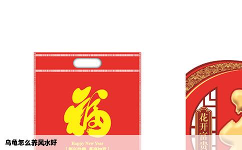 乌龟怎么养风水好