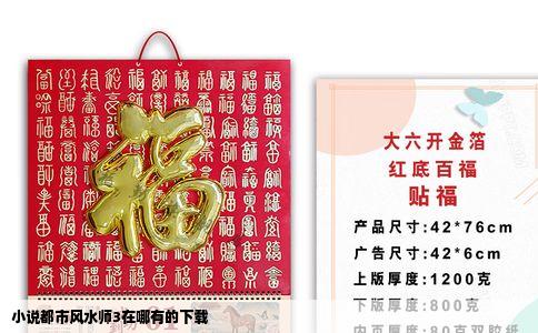 小说都市风水师3在哪有的下载