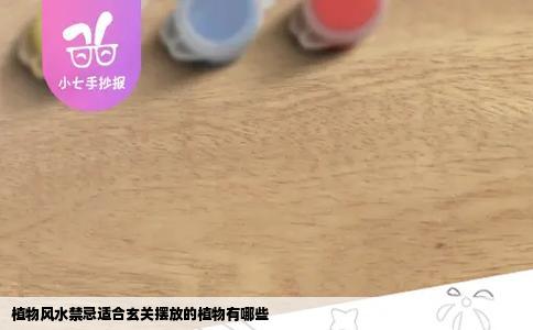 植物风水禁忌适合玄关摆放的植物有哪些