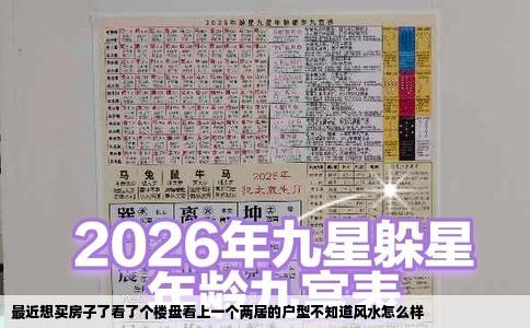 最近想买房子了看了个楼盘看上一个两居的户型不知道风水怎么样