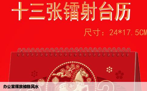 办公室摆放植物风水