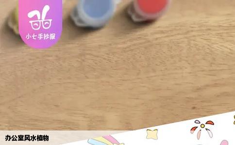 办公室风水植物
