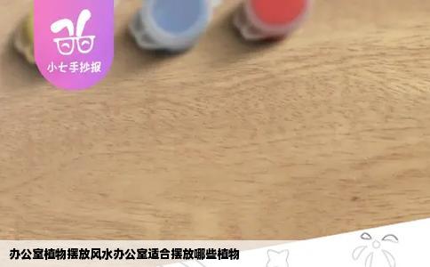 办公室植物摆放风水办公室适合摆放哪些植物