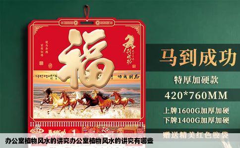 办公室植物风水的讲究办公室植物风水的讲究有哪些