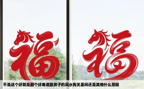 不是这个坏就是那个坏难道跟房子的风水有关系吗还是其他什么原因