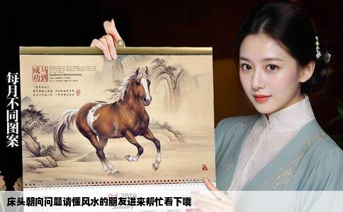 床头朝向问题请懂风水的朋友进来帮忙看下哦