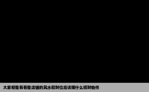 大家帮我看看我店铺的风水和财位应该摆什么招财物件