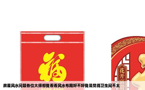 房屋风水问题各位大师帮我看看风水布局好不好我是觉得卫生间不太