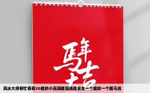 风水大师帮忙看看30楼的小高层楼层选择业主一个属蛇一个属马选