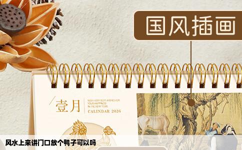 风水上来讲门口放个鸭子可以吗