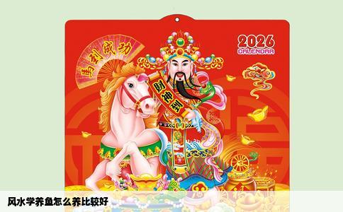 风水学养鱼怎么养比较好