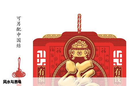 风水与养龟