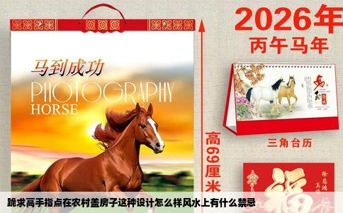 跪求高手指点在农村盖房子这种设计怎么样风水上有什么禁忌