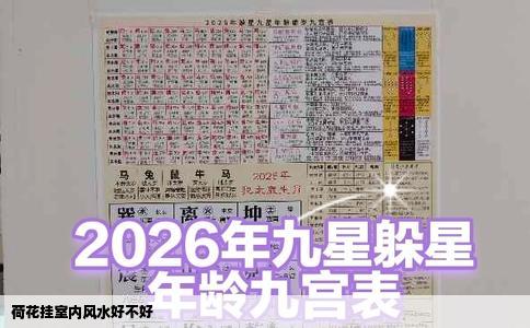 荷花挂室内风水好不好