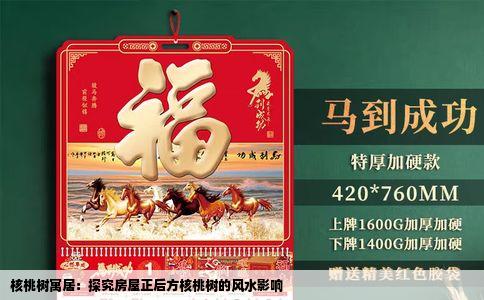 核桃树寓居：探究房屋正后方核桃树的风水影响