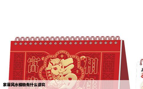 家居风水植物有什么讲究