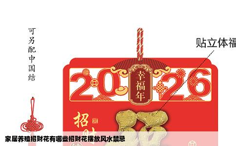 家居养殖招财花有哪些招财花摆放风水禁忌