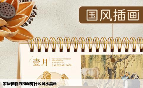 家居植物的搭配有什么风水禁忌
