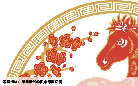 家居植物：绿意盎然的风水布局指南
