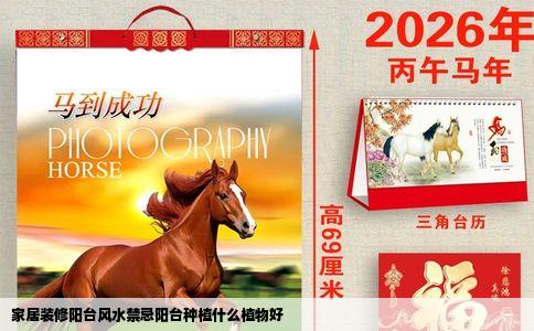 家居装修阳台风水禁忌阳台种植什么植物好