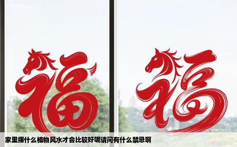 家里摆什么植物风水才会比较好呢请问有什么禁忌啊