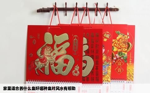 家里适合养什么鱼好哪种鱼对风水有帮助