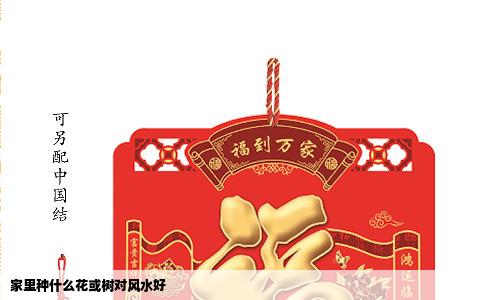 家里种什么花或树对风水好