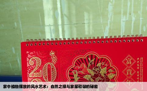 家中植物摆放的风水艺术：自然之绿与家居和谐的秘密