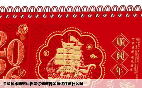 金鱼风水助财运但是你知道养金鱼该注意什么吗