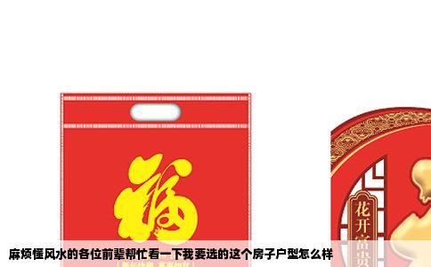 麻烦懂风水的各位前辈帮忙看一下我要选的这个房子户型怎么样