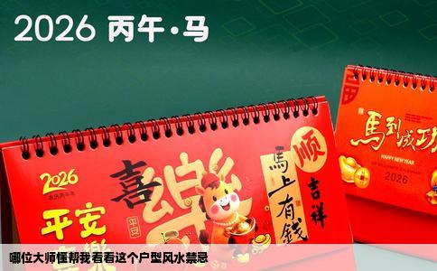 哪位大师懂帮我看看这个户型风水禁忌