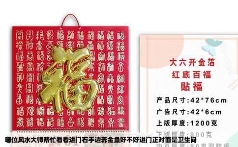 哪位风水大师帮忙看看进门右手边养金鱼好不好进门正对面是卫生间