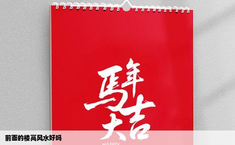 前面的楼高风水好吗