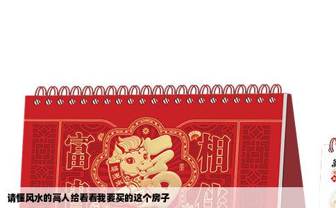 请懂风水的高人给看看我要买的这个房子