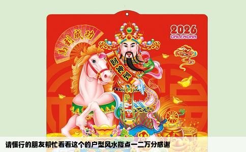 请懂行的朋友帮忙看看这个的户型风水指点一二万分感谢