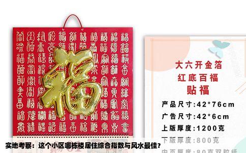 实地考察：这个小区哪栋楼居住综合指数与风水最佳？