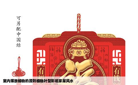 室内摆放植物的原则植物叶型影响家居风水
