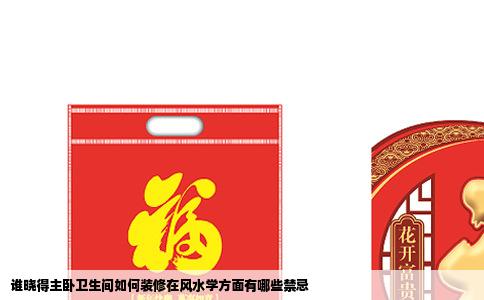 谁晓得主卧卫生间如何装修在风水学方面有哪些禁忌