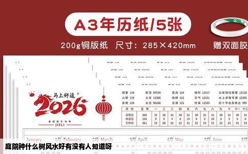 庭院种什么树风水好有没有人知道呀