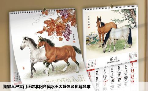 我家入户大门正对北阳台风水不大好怎么化解急求