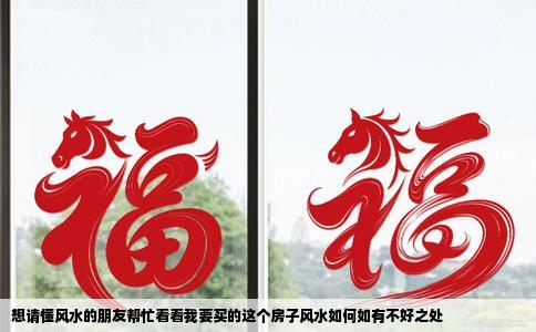 想请懂风水的朋友帮忙看看我要买的这个房子风水如何如有不好之处