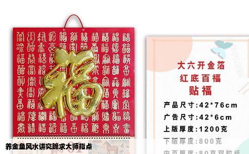 养金鱼风水讲究跪求大师指点