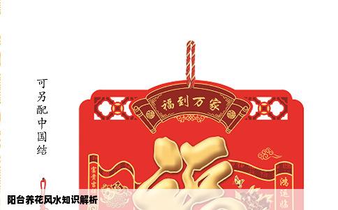 阳台养花风水知识解析