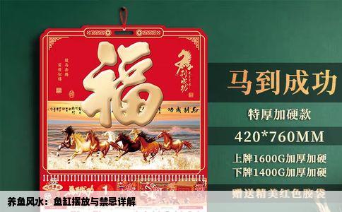 养鱼风水：鱼缸摆放与禁忌详解