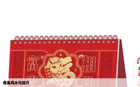 养鱼风水与技巧