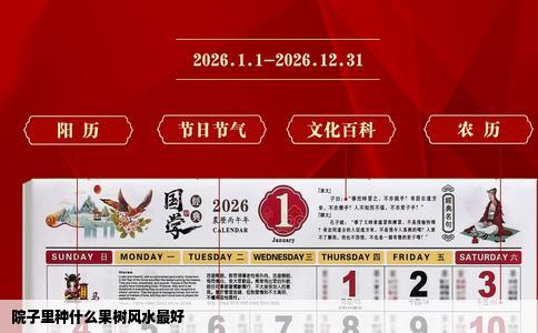 院子里种什么果树风水最好